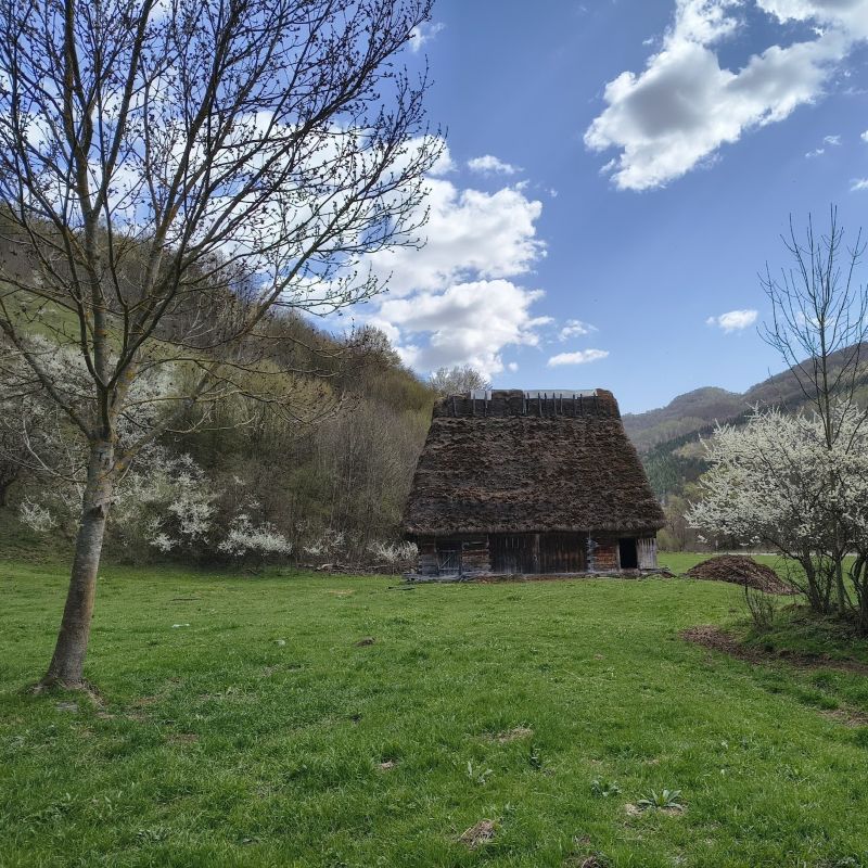 crop-atractii-01-800
