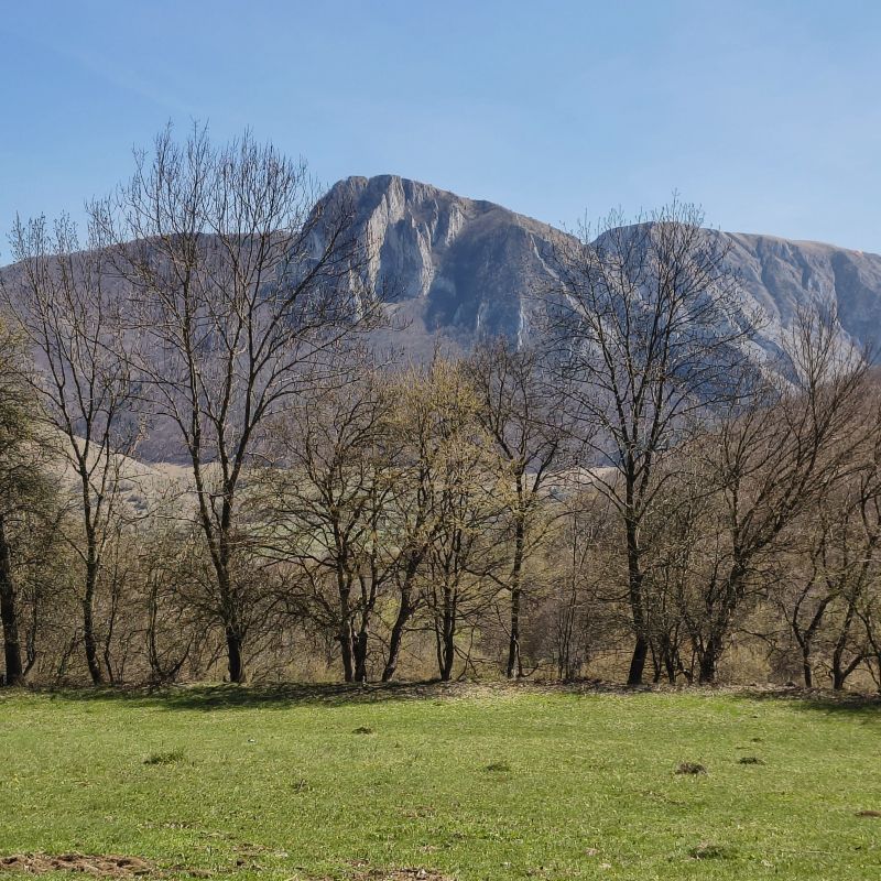 crop-locuri-05-trascau