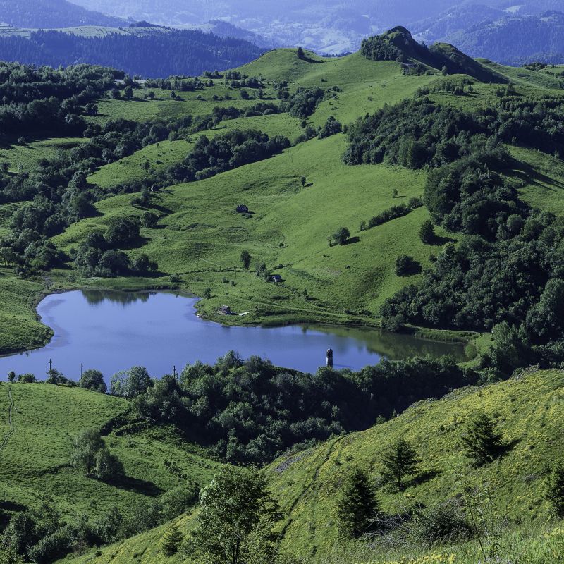 crop-rosiamontana-800